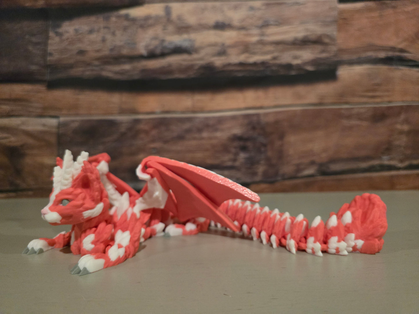 Cat Dragon