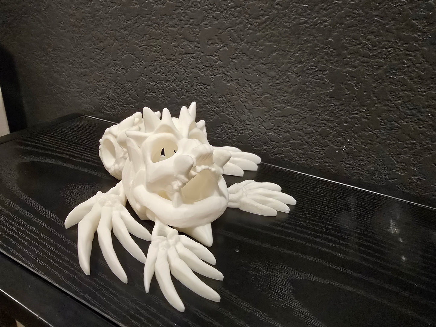 Skeletal Turtle